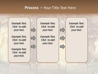 Product Cold Gourmet PowerPoint Template
