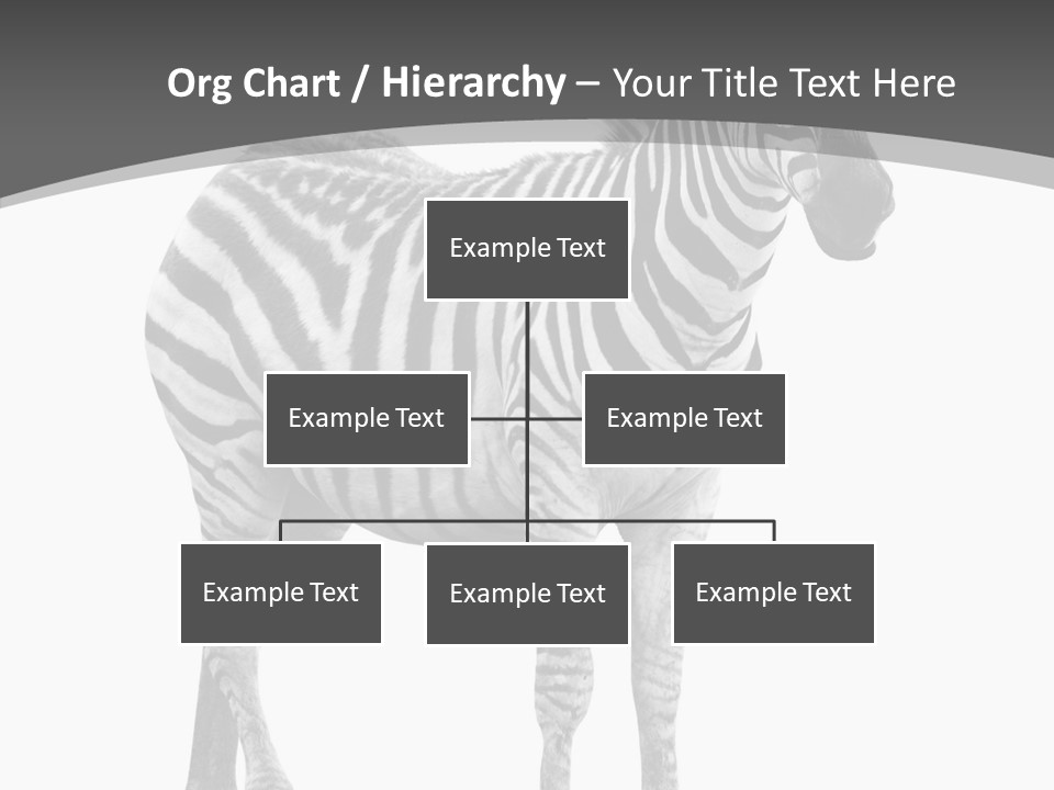 Wild Background Looking PowerPoint Template