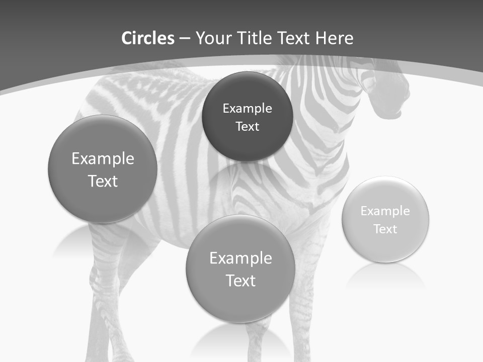 Wild Background Looking PowerPoint Template