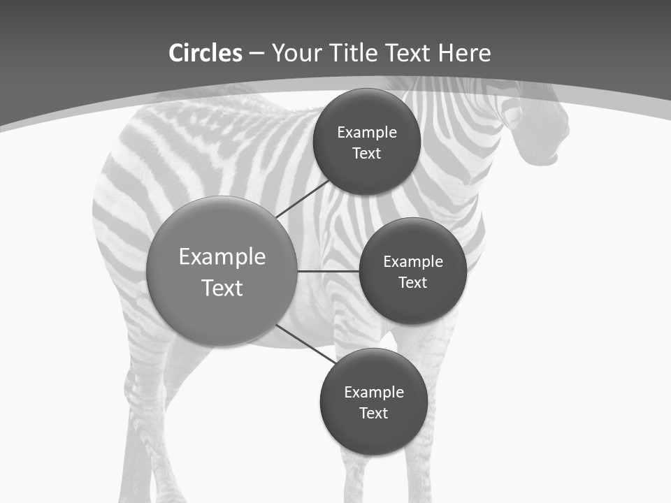 Wild Background Looking PowerPoint Template