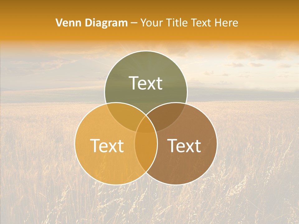 Room Together Team PowerPoint Template