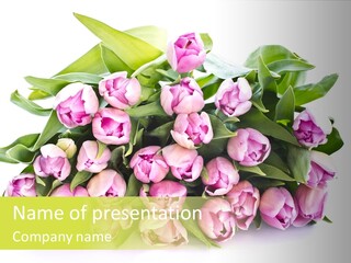 Bloom Isolated Blossom PowerPoint Template