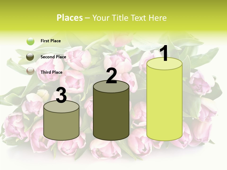 Bloom Isolated Blossom PowerPoint Template