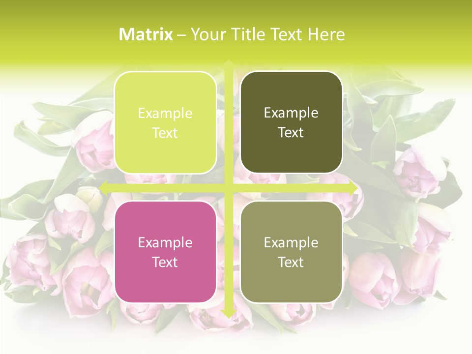 Bloom Isolated Blossom PowerPoint Template