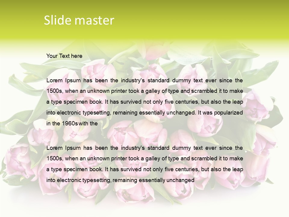 Bloom Isolated Blossom PowerPoint Template