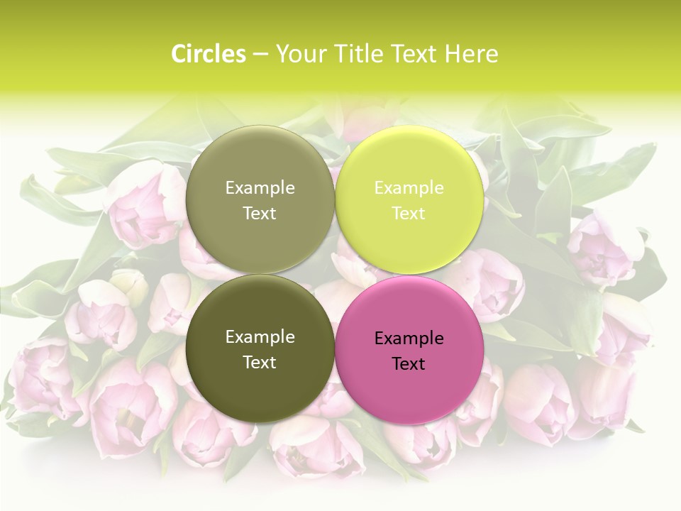 Bloom Isolated Blossom PowerPoint Template