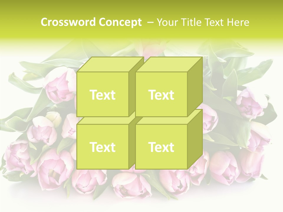 Bloom Isolated Blossom PowerPoint Template