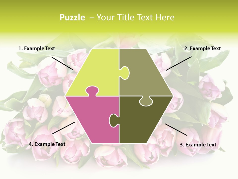 Bloom Isolated Blossom PowerPoint Template