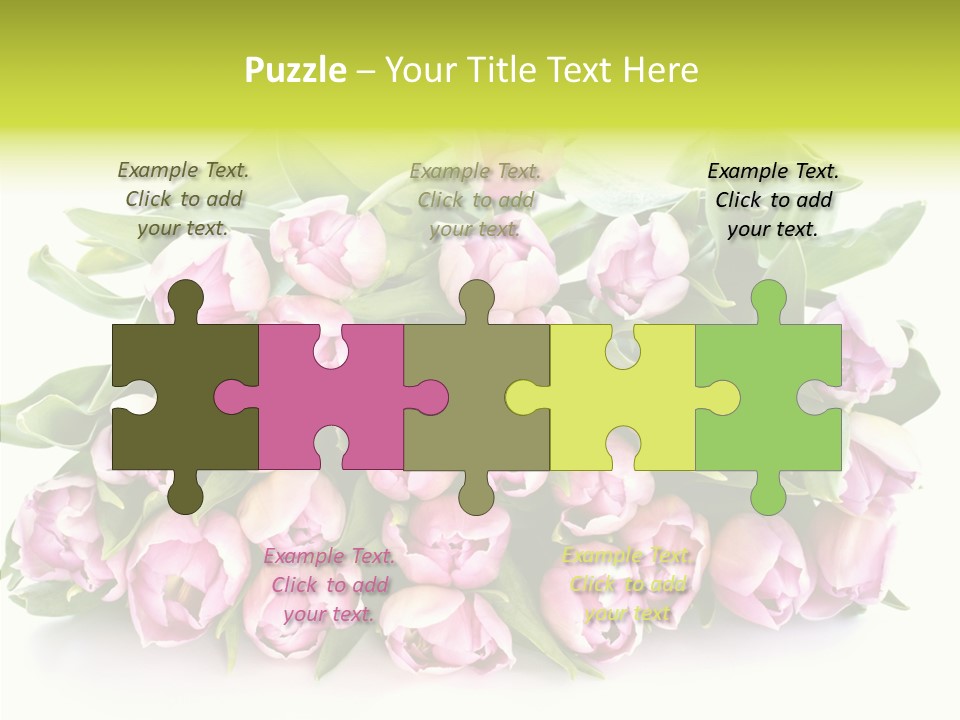 Bloom Isolated Blossom PowerPoint Template