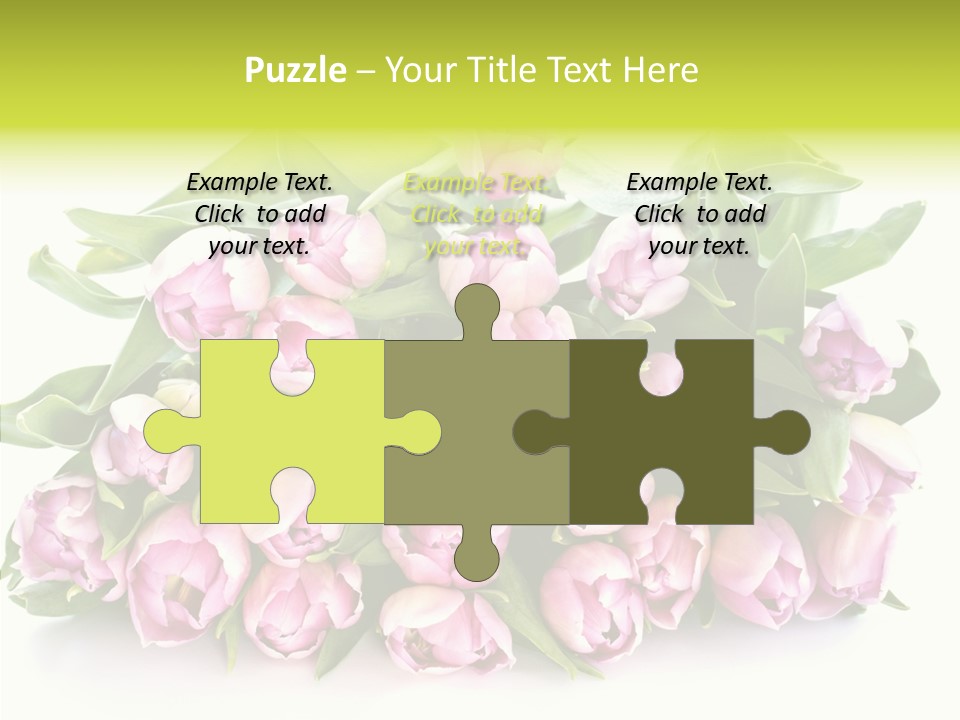 Bloom Isolated Blossom PowerPoint Template