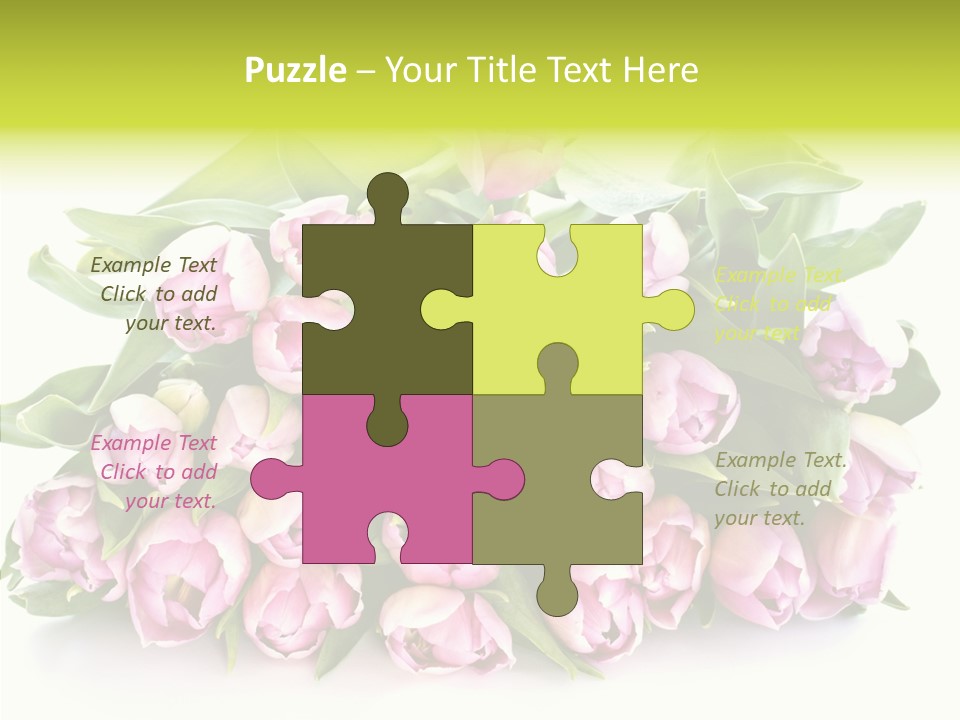 Bloom Isolated Blossom PowerPoint Template