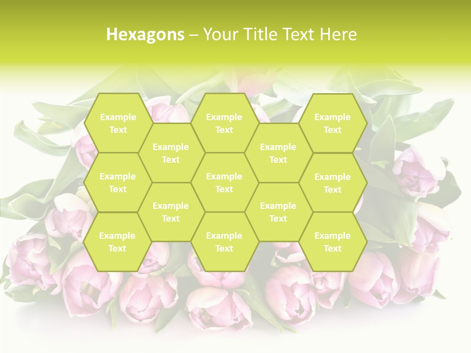 Bloom Isolated Blossom PowerPoint Template