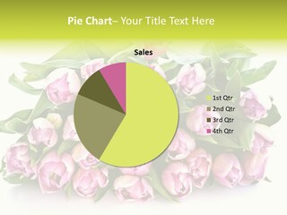 Bloom Isolated Blossom PowerPoint Template