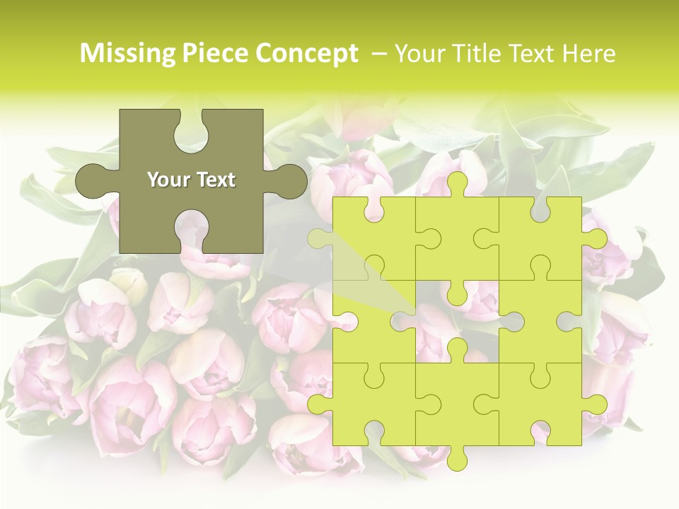 Bloom Isolated Blossom PowerPoint Template