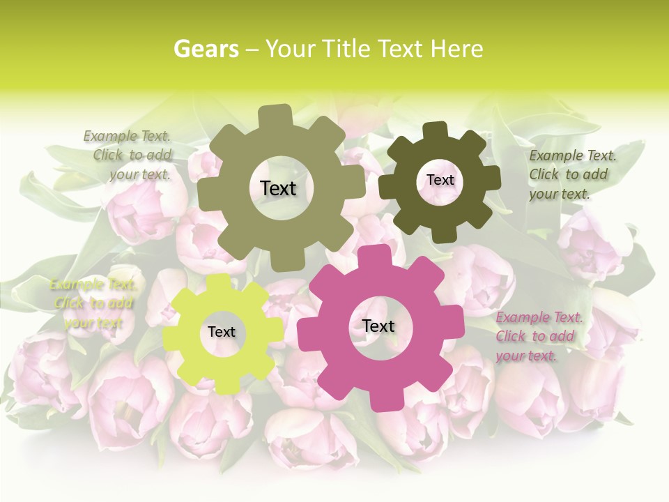 Bloom Isolated Blossom PowerPoint Template