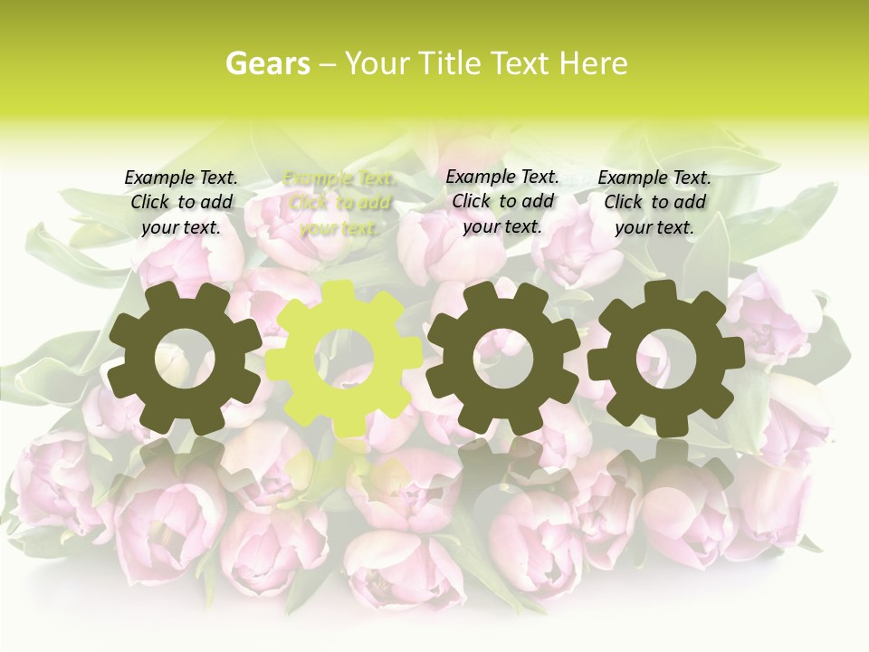 Bloom Isolated Blossom PowerPoint Template