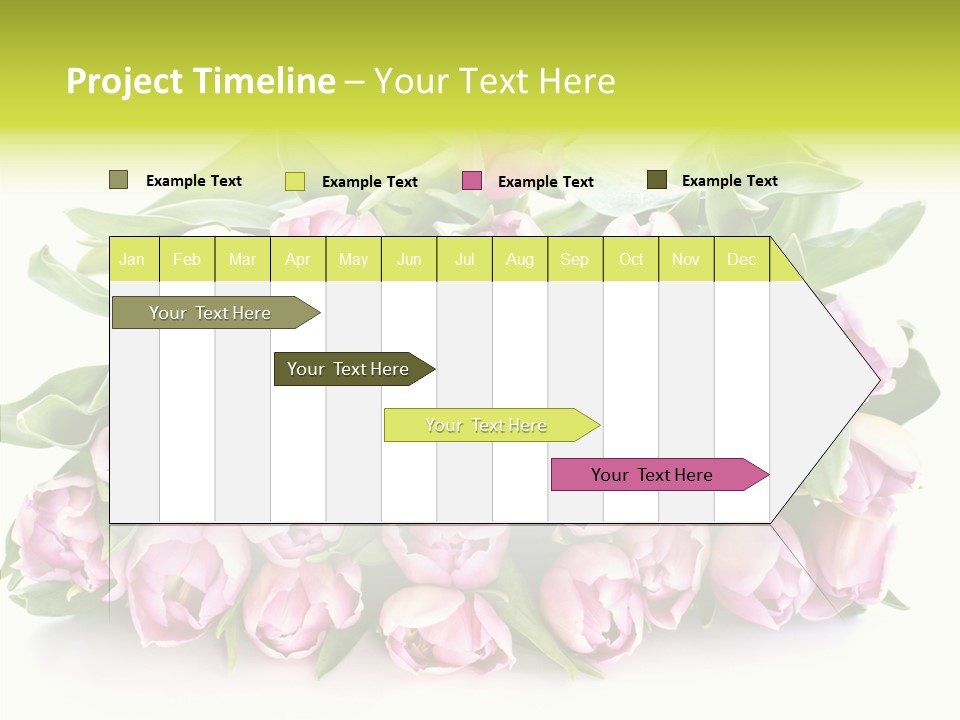 Bloom Isolated Blossom PowerPoint Template