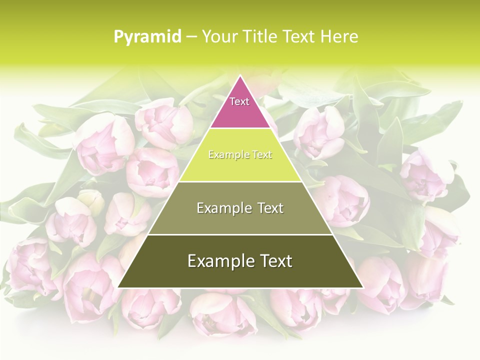 Bloom Isolated Blossom PowerPoint Template