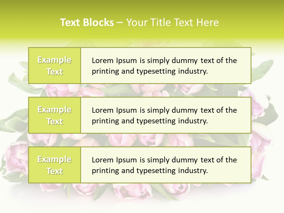 Bloom Isolated Blossom PowerPoint Template