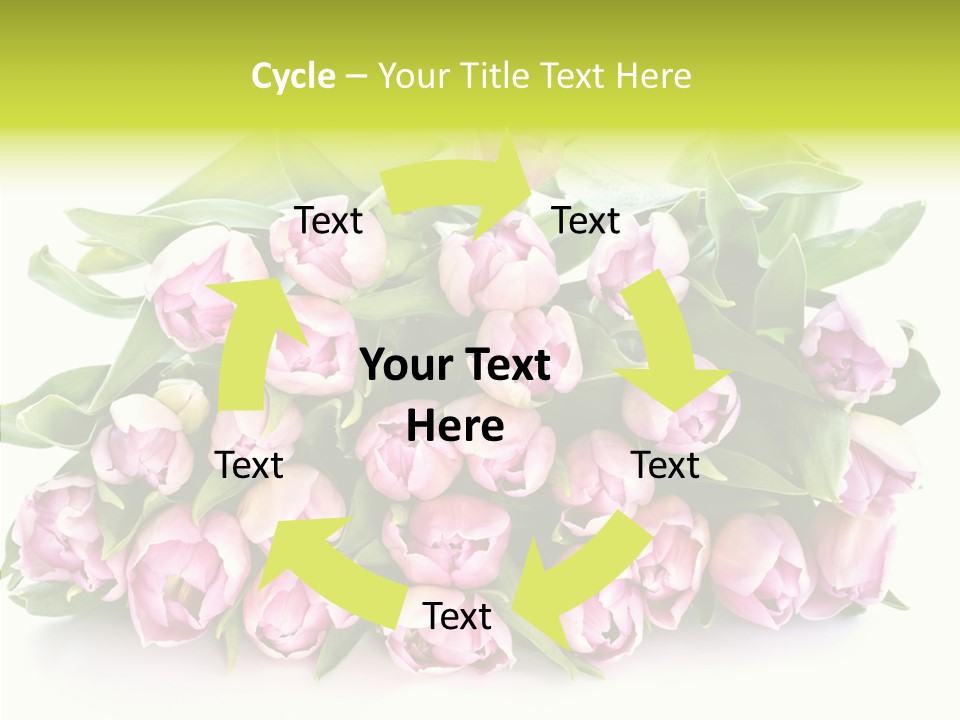 Bloom Isolated Blossom PowerPoint Template