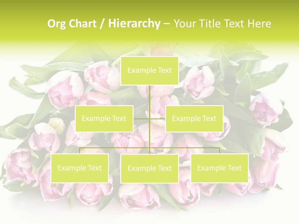 Bloom Isolated Blossom PowerPoint Template