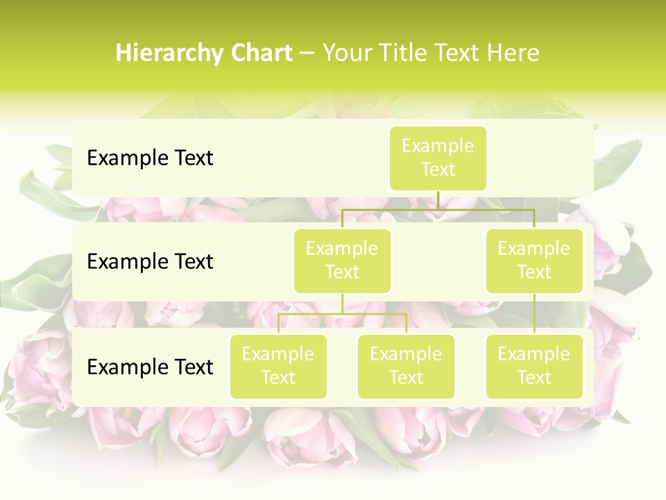 Bloom Isolated Blossom PowerPoint Template
