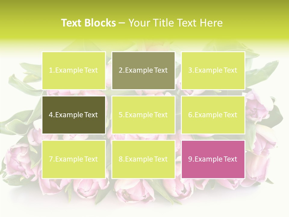 Bloom Isolated Blossom PowerPoint Template