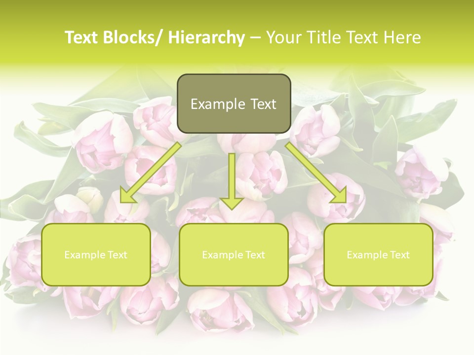 Bloom Isolated Blossom PowerPoint Template