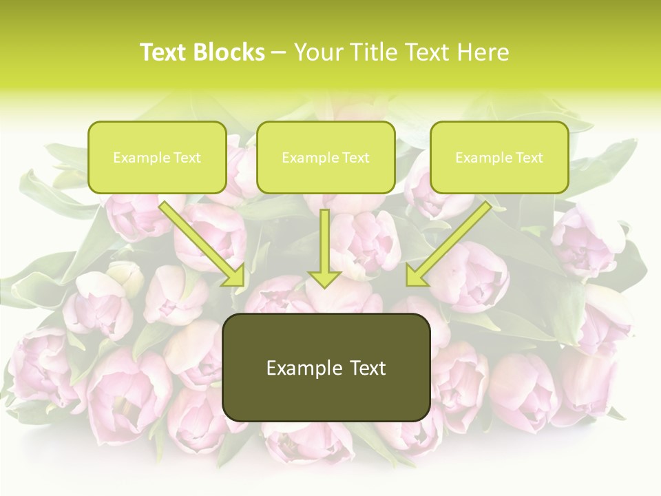 Bloom Isolated Blossom PowerPoint Template