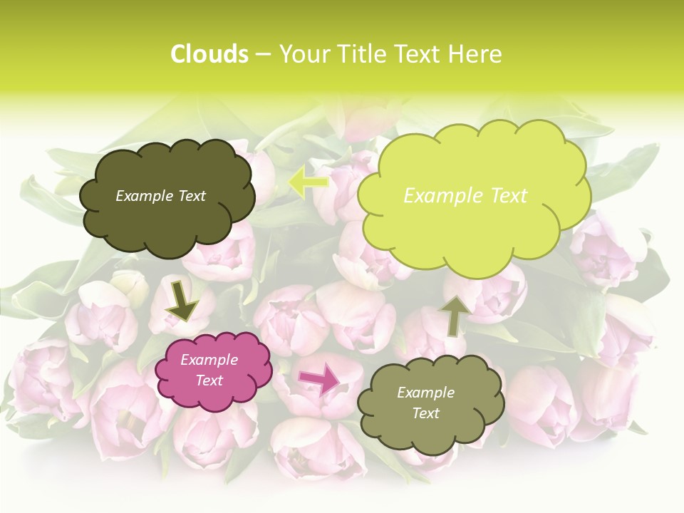 Bloom Isolated Blossom PowerPoint Template