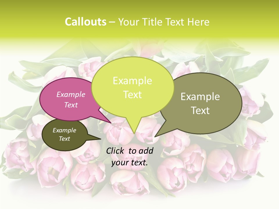 Bloom Isolated Blossom PowerPoint Template