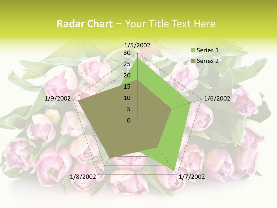Bloom Isolated Blossom PowerPoint Template
