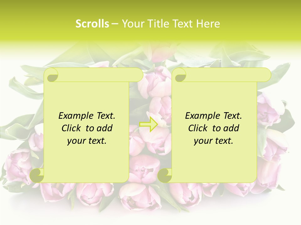 Bloom Isolated Blossom PowerPoint Template