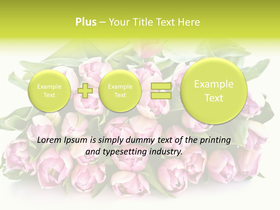 Bloom Isolated Blossom PowerPoint Template