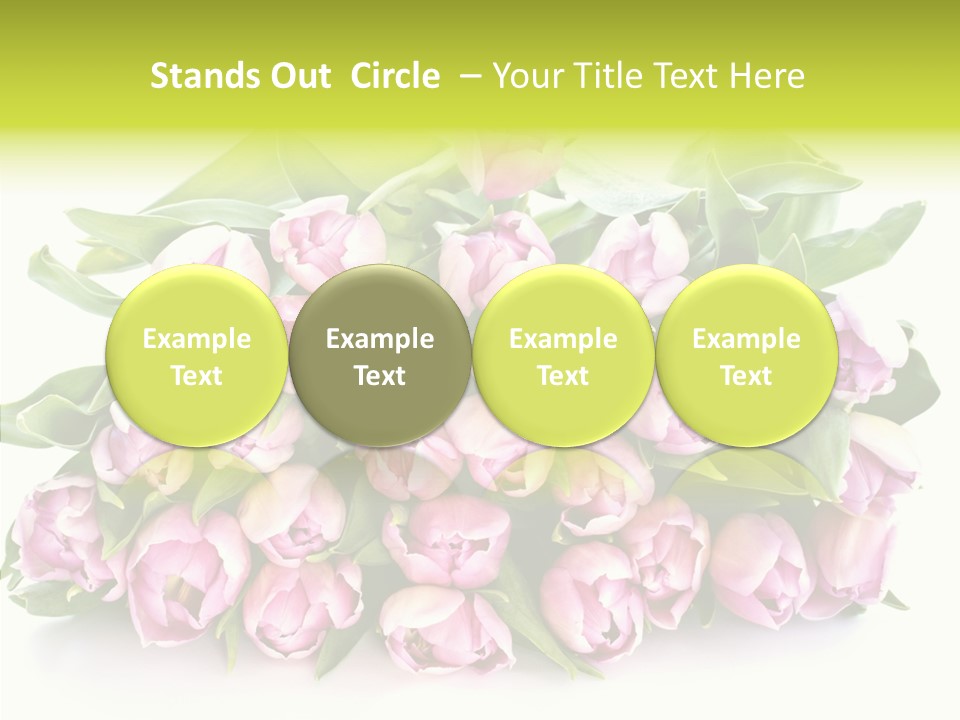 Bloom Isolated Blossom PowerPoint Template