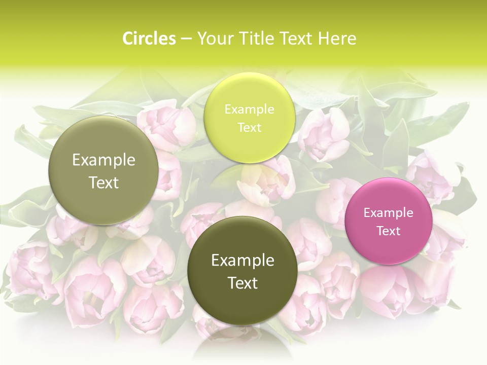 Bloom Isolated Blossom PowerPoint Template