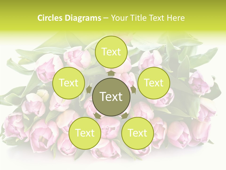 Bloom Isolated Blossom PowerPoint Template