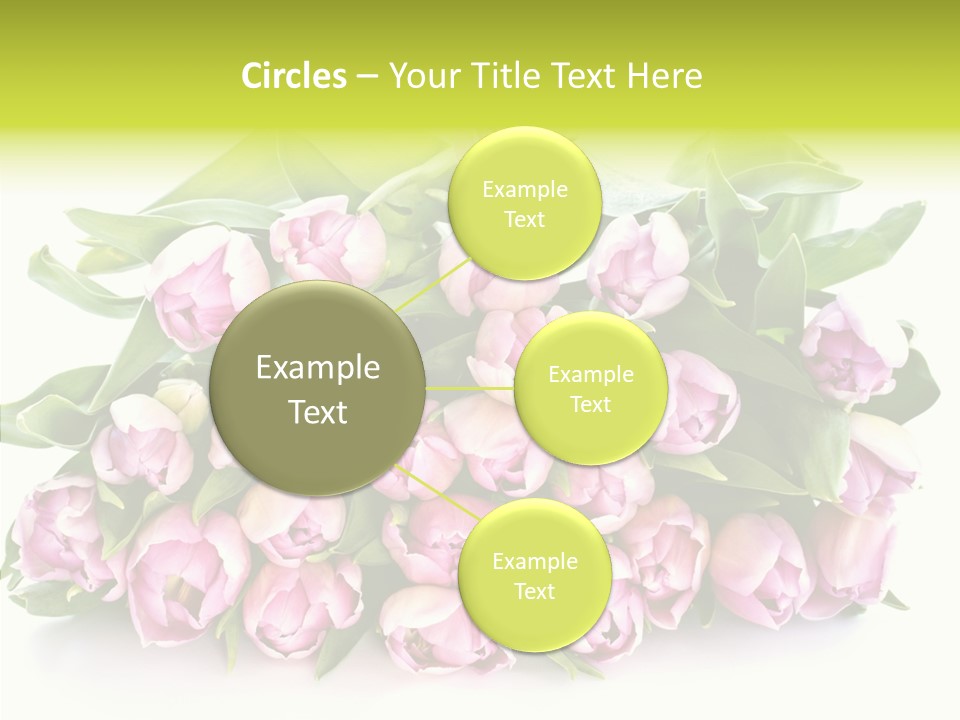Bloom Isolated Blossom PowerPoint Template