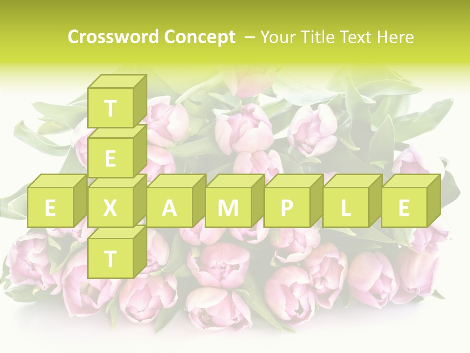 Bloom Isolated Blossom PowerPoint Template