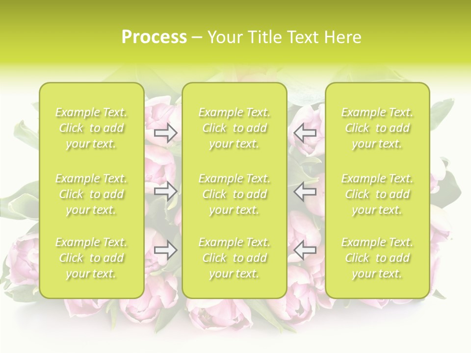 Bloom Isolated Blossom PowerPoint Template