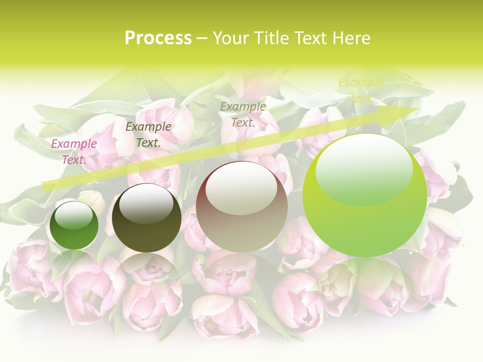 Bloom Isolated Blossom PowerPoint Template