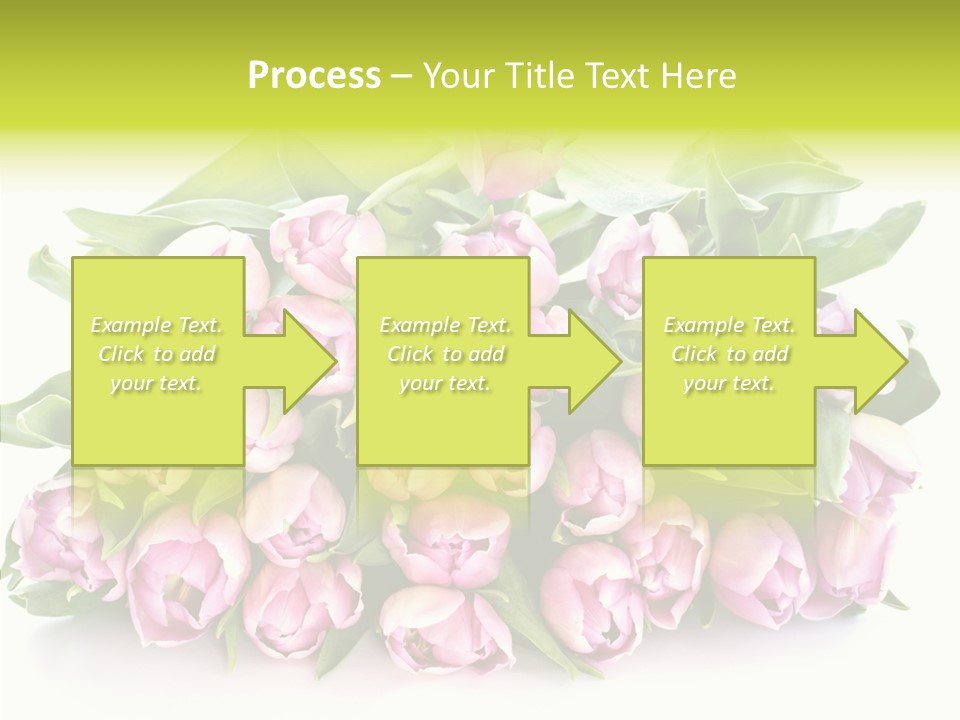 Bloom Isolated Blossom PowerPoint Template