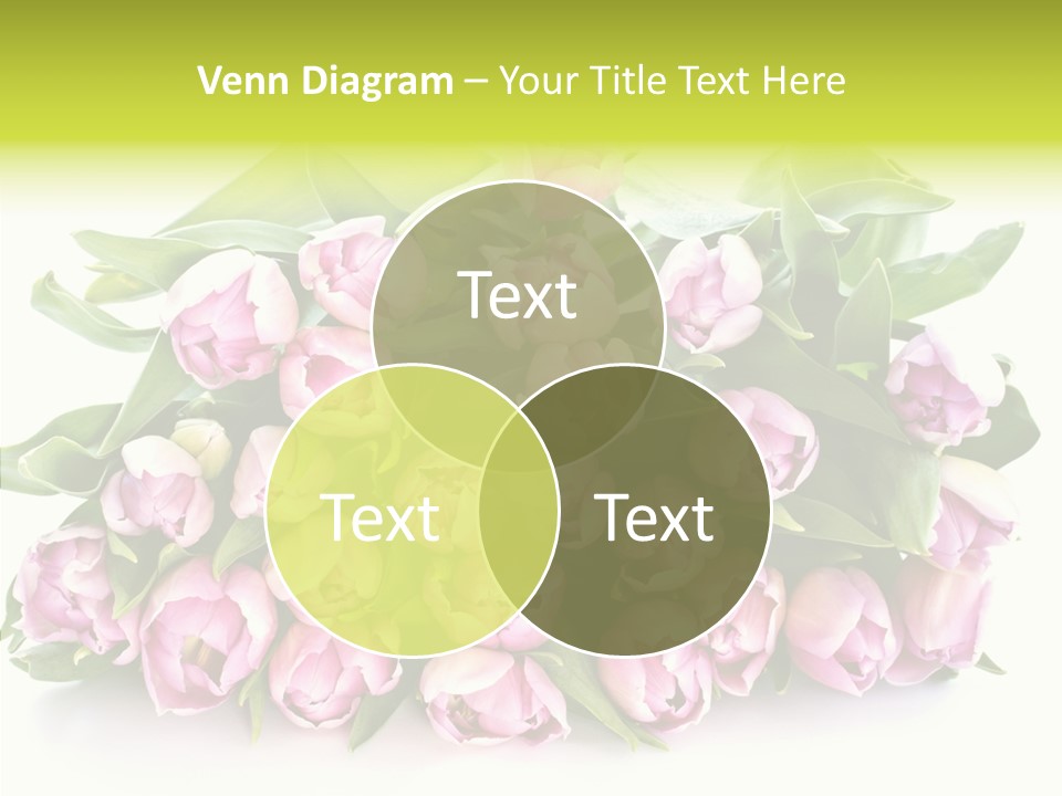 Bloom Isolated Blossom PowerPoint Template