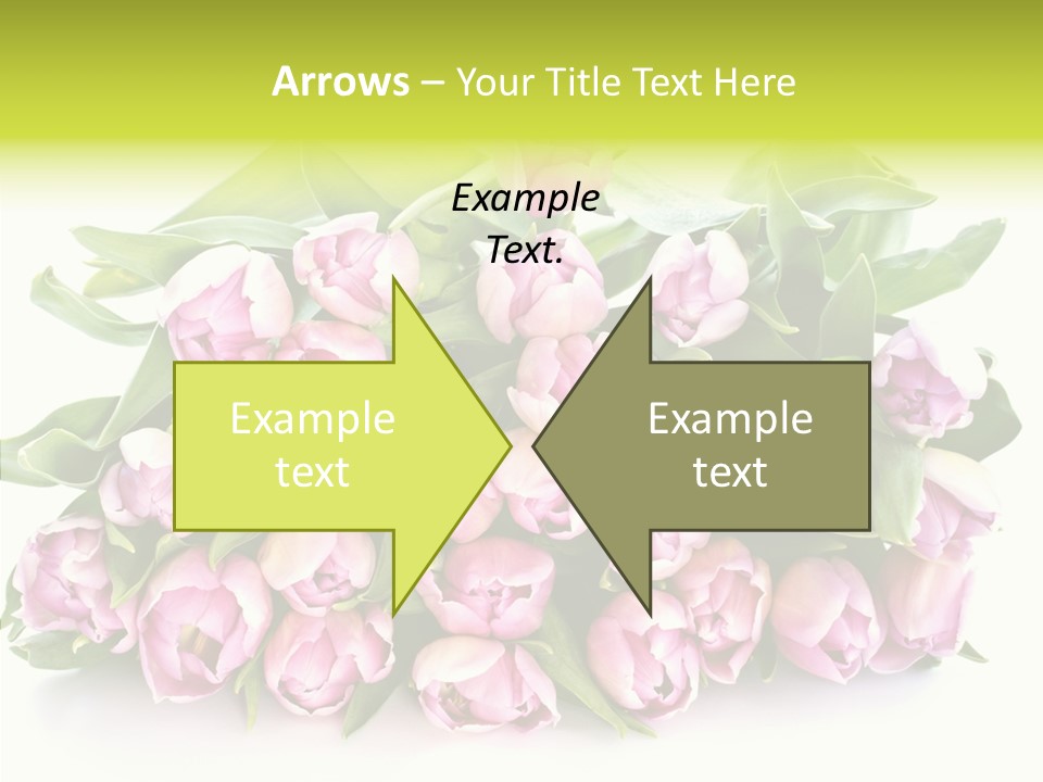 Bloom Isolated Blossom PowerPoint Template