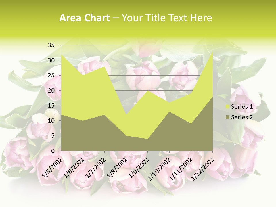Bloom Isolated Blossom PowerPoint Template