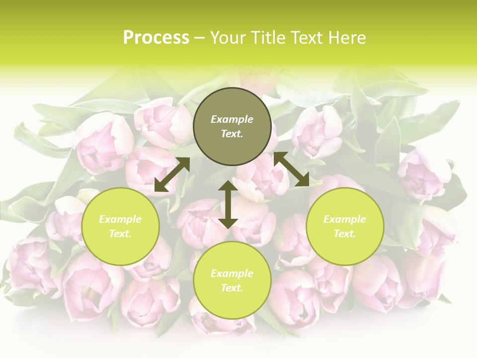 Bloom Isolated Blossom PowerPoint Template