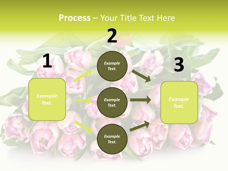 Bloom Isolated Blossom PowerPoint Template