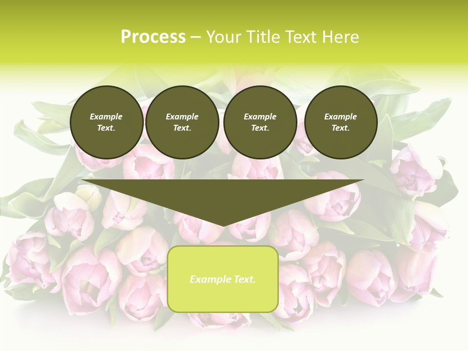 Bloom Isolated Blossom PowerPoint Template