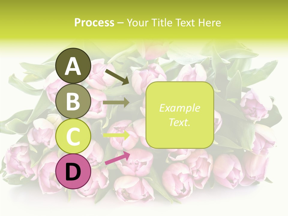 Bloom Isolated Blossom PowerPoint Template