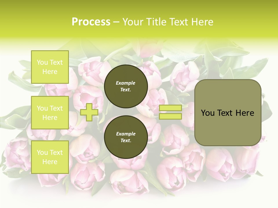 Bloom Isolated Blossom PowerPoint Template